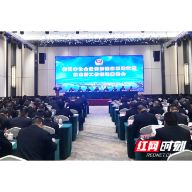 这场“金点子”频闪的推进会，为衡阳创新社会治安防控体系建设出谋划策