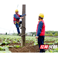 国网衡阳供电公司：学史力行 优质服务助春耕