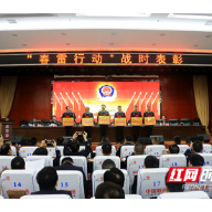 衡阳公安“春雷行动”战果丰硕 一季度工作实现“开门红”