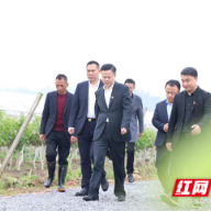 衡山：攻坚克难开新局 学史增信助发展