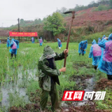 衡南松江镇：党史教育映初心 为民办事解难题