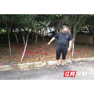 助力衡阳创文 珠晖警方查处一起违规燃放烟花爆竹案