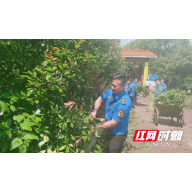 祁东城管执法局白鹤执法中队开展主题党日活动 为敬老院“梳妆打扮”