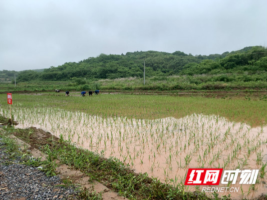 WechatIMG1340.jpg WechatIMG1340.jpg