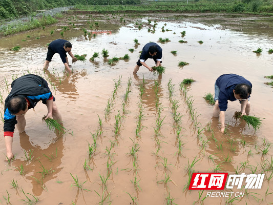 WechatIMG1339.jpg WechatIMG1339.jpg