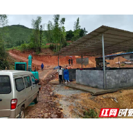 我为群众办实事|快！抢救生猪去