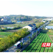 衡阳：开上“最美农村路” 尽享发展“加速度”