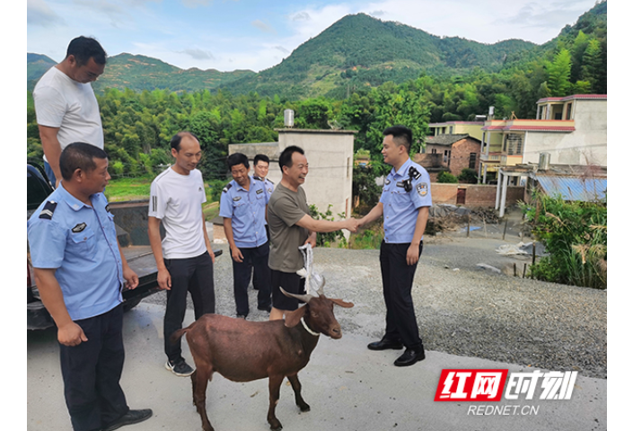 衡阳县：民警辗转找羊 群众心里“暖洋洋”