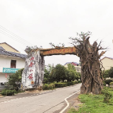 壮大村级集体经济丨常宁市平安村：“茶山飞鸡”走林，集体经济“振翅”