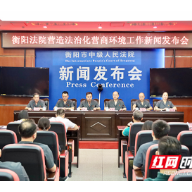 衡阳法院：打出“组合拳”让法治成为最好的营商环境
