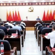 蒸湘区传达贯彻衡阳市第十二次党代会会议精神
