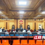 14人受审！衡山法院公开审理一起帮助信息网络犯罪活动罪案件