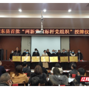 14个！衡东县首批“两新党建标杆党组织”集中授牌
