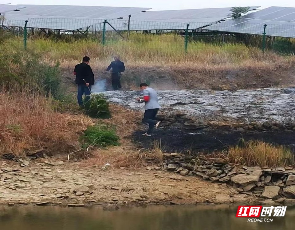 10月6日，祁东县退役军人事务局组织10名工作人员成立小分队，分别前往黄土铺镇大胜、永德两个村开展“四大行动”。当天上午，巡山途中，主动帮助一位正在田间劳作的农户扑灭野外火源同时，对其进行森林防火知识宣传，对路过的上山捞柴老人进行收缴火种。
