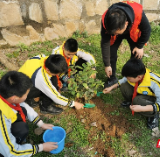 珠晖区：保护母亲河种下一抹绿 志愿者湘江河边植树