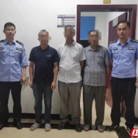 衡阳县公安破获一起非法采矿案，3人落网