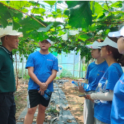 湖南工学院学子“三下乡” 实地调研葡萄种植等特色产业