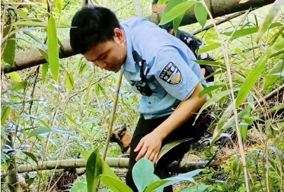 南岳：一游客景区走失，警方深山搜救32小时后平安归家