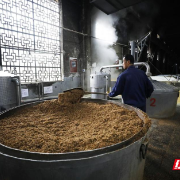 新春走基层｜衡阳珠晖区：雁峰酒飘香 跑好第一棒