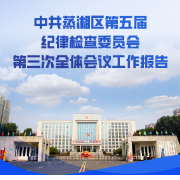 图解 | 一图了解蒸湘区第五届纪委第三次全会工作报告