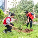 湖南交通工程学院：师生义务植树 共建美丽校园