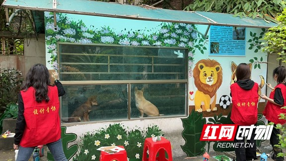 湖南工学院学生以非洲狮的“好朋狗”为题材绘制大型墙画