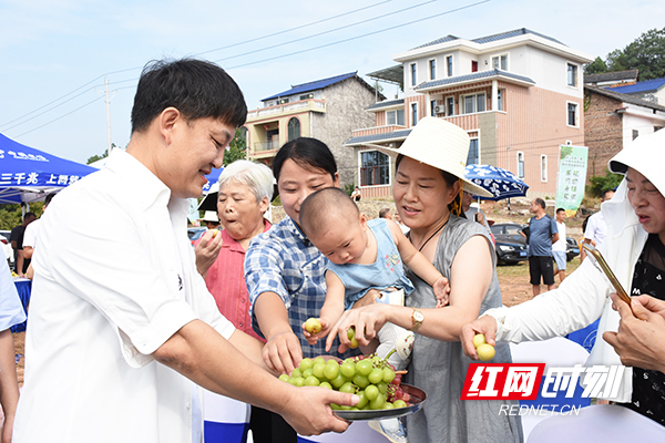 衡山县：以果为“媒”迎商客 以“节”促销助增收