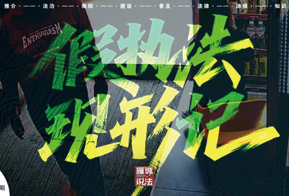 《雁城说法》㉜丨“假执法”现形记