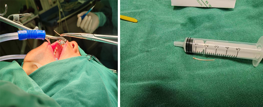 图片4.jpg 图片4.jpg