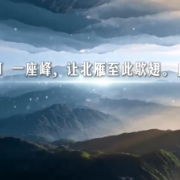 视频 | “营”在衡阳 “赢”在衡阳