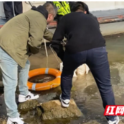惊险!女子跳河轻生,衡阳公安民警上演“生死营救”
