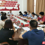 有亮点 有特色 有创新 雁峰区讲评上半年基层党建工作