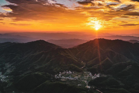 常宁塔山瑶族乡:稻香茶香果香 农民喜迎好"丰"景