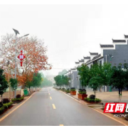“检察蓝”助力乡村振兴！衡阳市检察院联点村获评2021年全省“最美潇湘文化阵地”