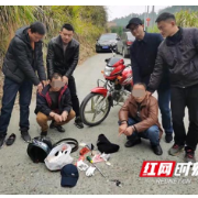 落网了!两男子流窜作案十余起、涉案十余万元