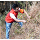 湖南祁东：割灌除草 筑牢森林防火“安全网”