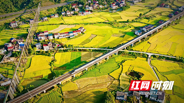 衡山县：乡村“蝶变”满目新 振兴路上阔步行