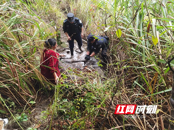 衡山县：老黄牛误中“圈套” ，民警出手助脱困