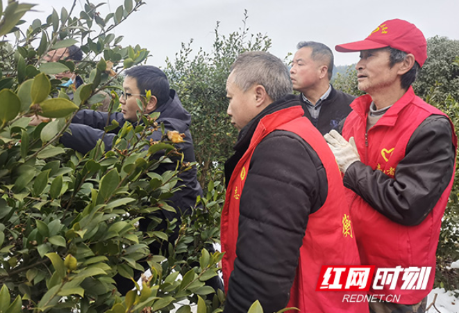 衡山：冬春训为农村党员“充电蓄能”