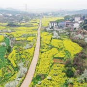 衡山：桃红李白菜花黄 步步成景美如画