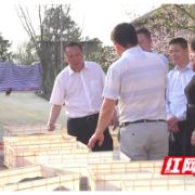 衡阳县委书记调研督导春耕备耕和粮食生产工作