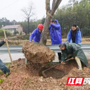 衡山：标准化春风“剪”出生态“新颜值”