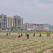 衡阳县：春耕备耕好时节 不误农时不负春