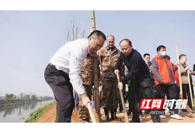 衡阳县：全民义务植树 共建绿色蒸阳