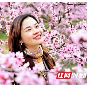 南岳光明村大树岭桃花开了，来赴一场春天的浪漫之约