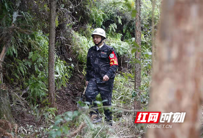 绿水青山就是百姓的“幸福靠山”——衡山县大力推进林长制工作侧记