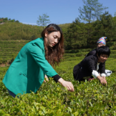 湖南祁东：生态“绿”激活“美丽经济” 绘就幸福“底色”