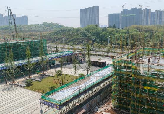 抗疫有力量|向春天奋进，博文高级中学教育项目建设加快