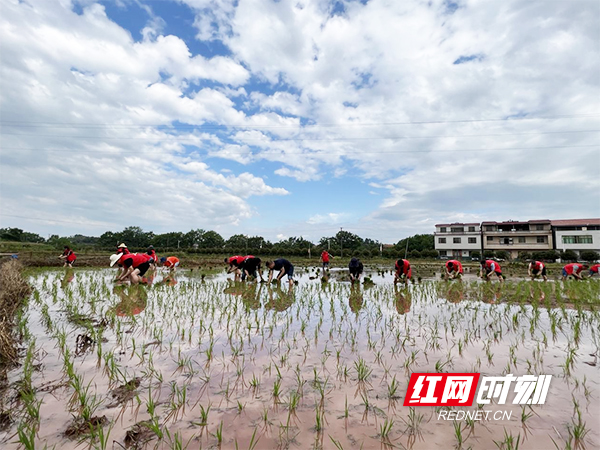 衡阳县：“红马甲”庆“五一 ” 我劳动我光荣