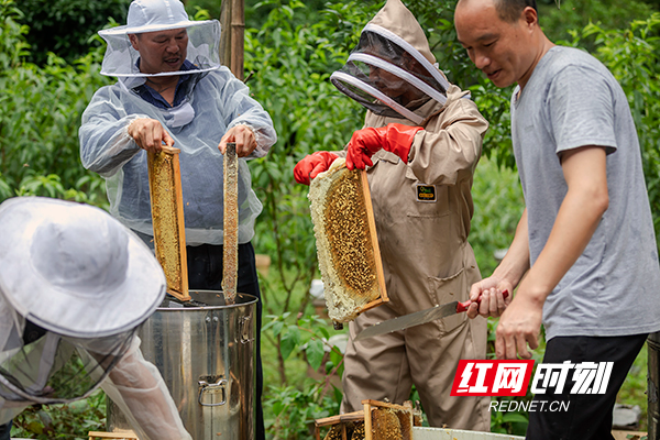 衡山：周末微旅游 助力乡村振兴